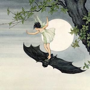 Meet your Posher, Ester